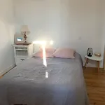 Sud Primrose Bord De Villa *