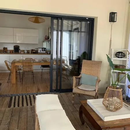 Sud Primrose Bord De *