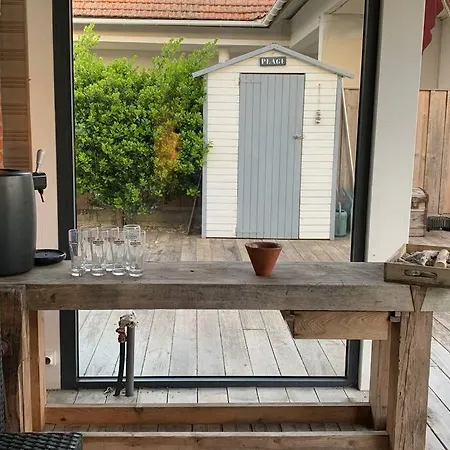 Sud Primrose Bord De Villa