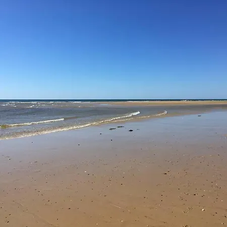 Sud Primrose Bord De Mimizan-Plage