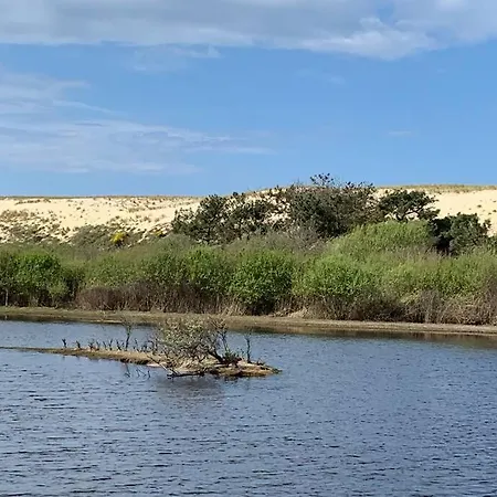 Sud Primrose Bord De * Mimizan