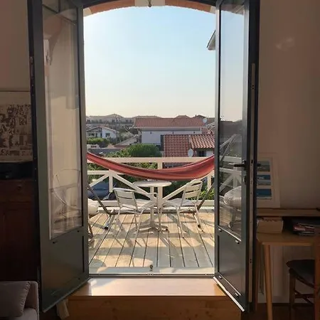 Sud Primrose Bord De Mimizan-Plage