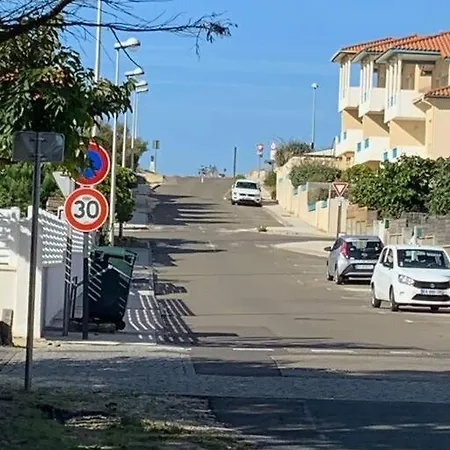 Sud Primrose Bord De