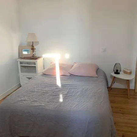 Sud Primrose Bord De Willa *