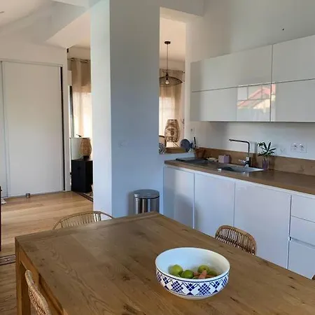 Sud Primrose Bord De *