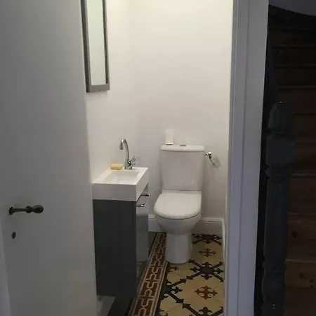 Sud Primrose Bord De *