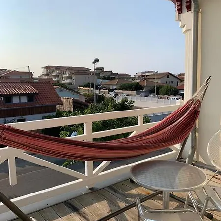 Sud Primrose Bord De Willa Mimizan-Plage