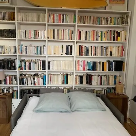 Sud Primrose Bord De Willa