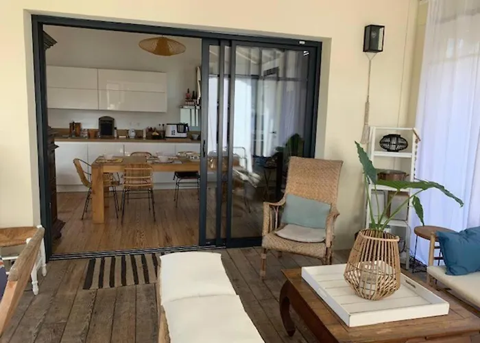 Sud Primrose Bord De *