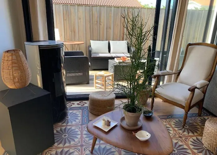 Sud Primrose Bord De