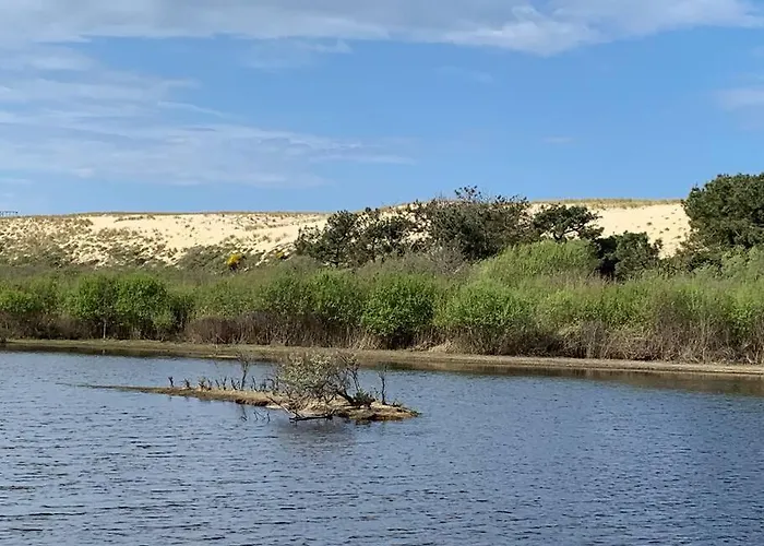 Sud Primrose Bord De * Mimizan