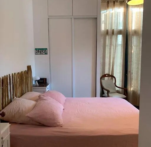 Sud Primrose Bord De *