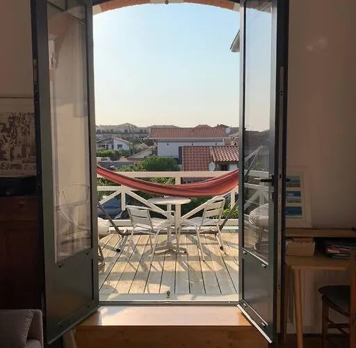 Sud Primrose Bord De Mimizan-Plage