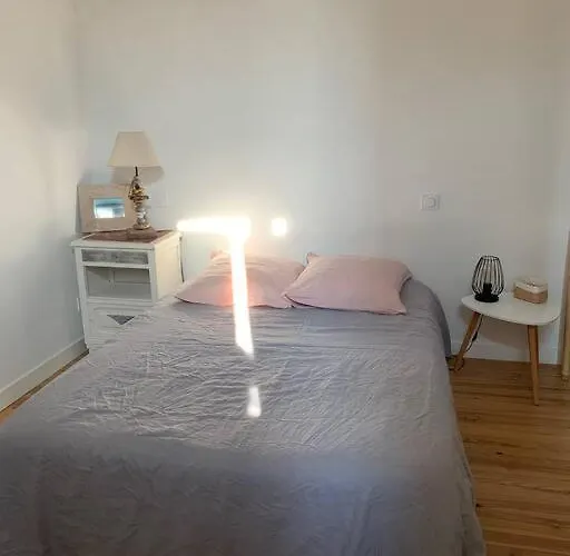 Sud Primrose Bord De Villa *