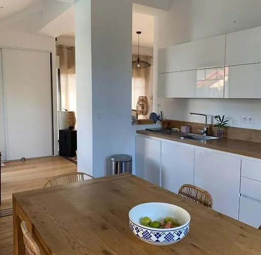 Sud Primrose Bord De *