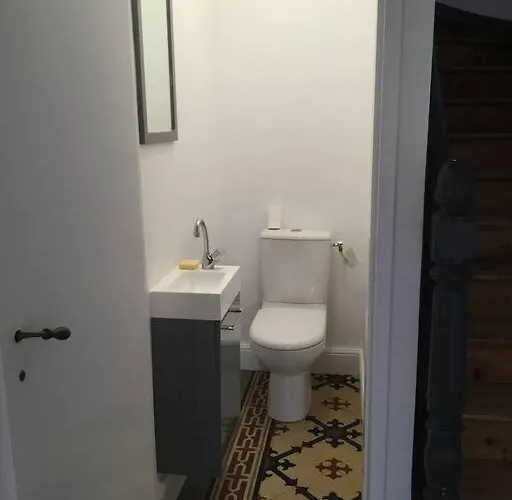 Sud Primrose Bord De *