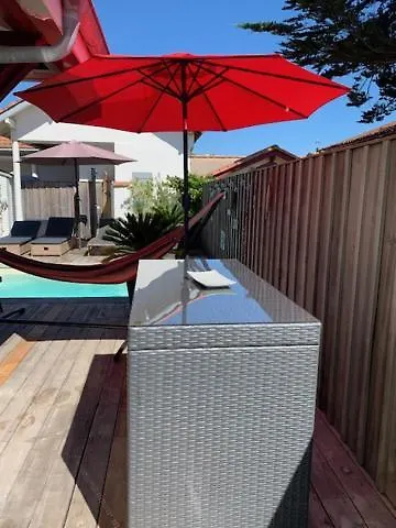 Sud Primrose Bord De