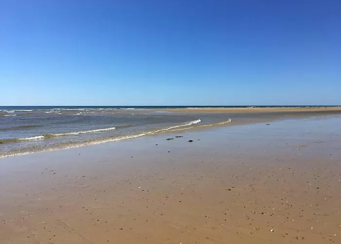 Sud Primrose Bord De Mimizan-Plage